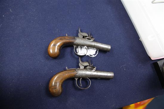 A pair of early 19th century boxlock percussion cap pistols, 6in.